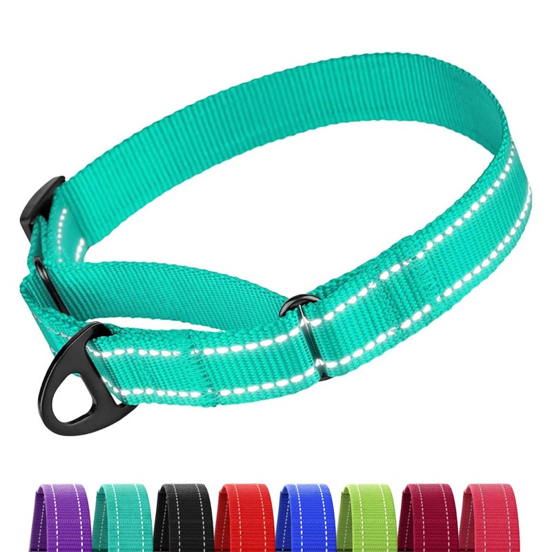 Collardirect Reflective Martingale Dog Collar Nylon Training Collars for Small Medium Large Dogs Puppy Pink Orange Green (M, Neck Size 13"-18", Mint Green) - Image 1